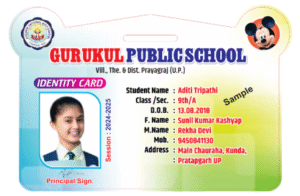 Acrylic ID Card Format Design No. 001