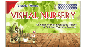 aasif nursery visiting card design