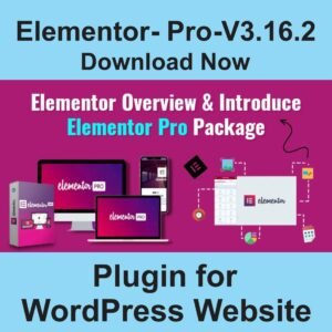 elementor-pro-v3.16.2