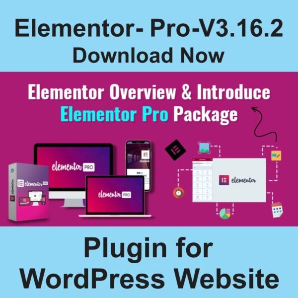 elementor-pro-v3.16.2