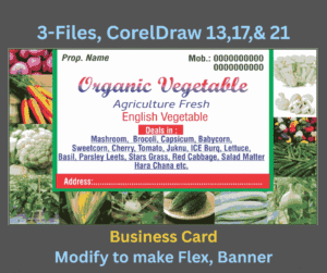 Vegtable Shop Business / Visiting Card