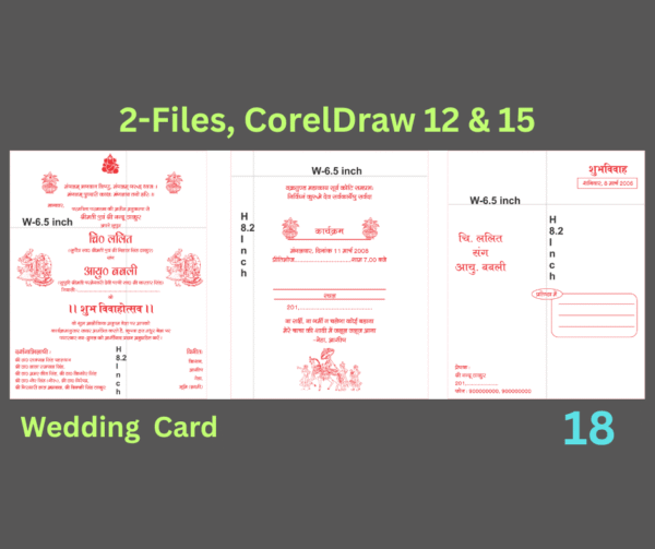 Fancy Hindu Wedding Card-18